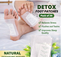 Detox Foot Patches - Buy 1 Get 1 Free (Pack of 20) @ Just Rs. 399/-